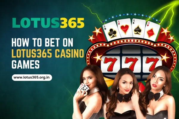 How to Bet on Lotus365 Casino Games